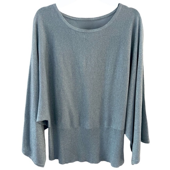 Lane Bryant Tops - LANE BRYANT • Plus Size Blue Sparkly Glitter Batwing Blouse Shirt Top